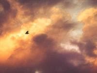 Логотип Tech Solutions